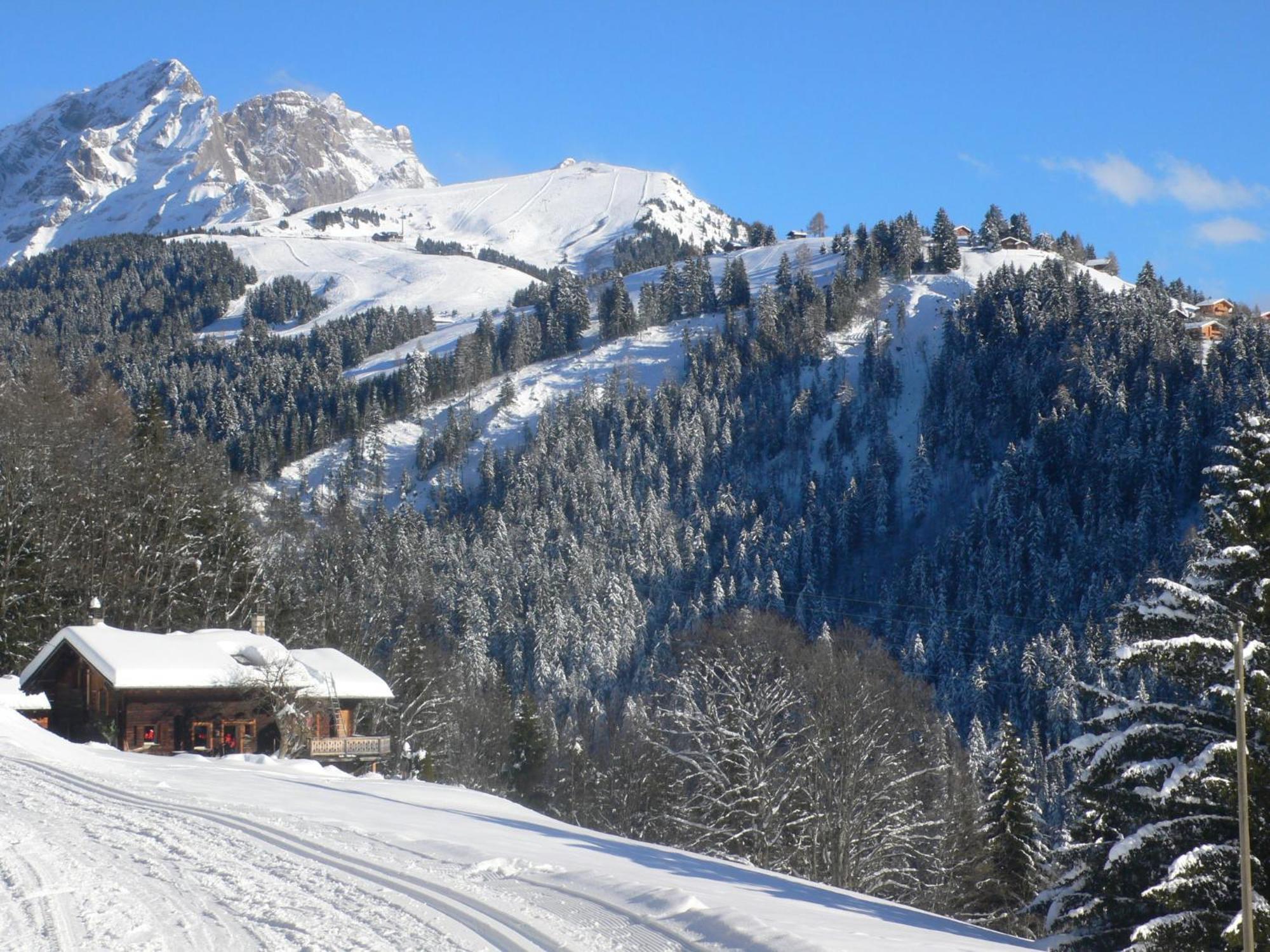 Chalet Chalet Maurice By Interhome Chesières